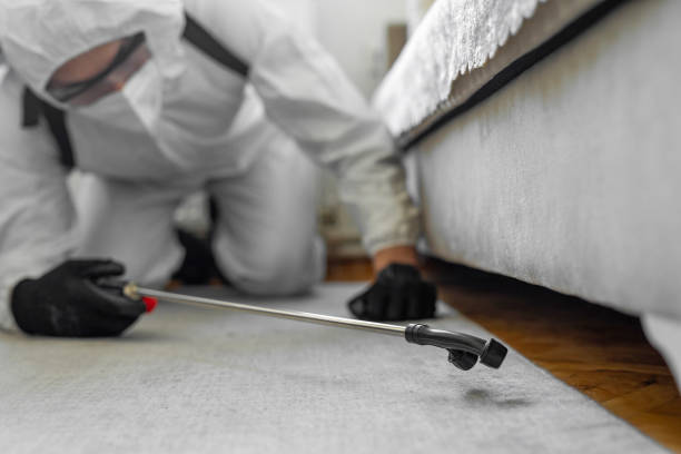Professional Bed Bug Control technician working in Biltmore Forest, NC